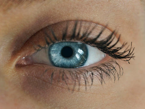 Eye Health