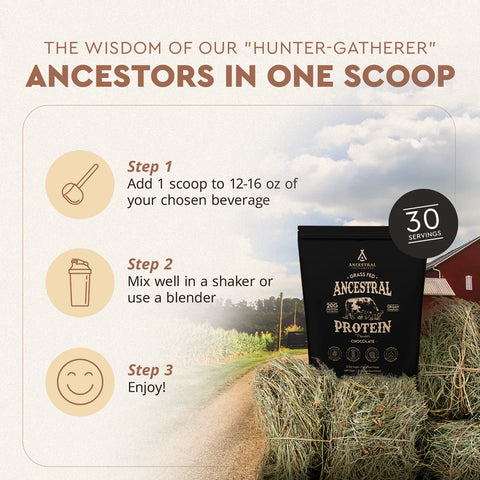 Ancestral Grass Fed Protein Powder Chocolate