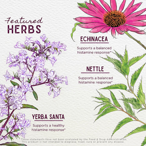 Wishgarden Herbs Kick-Ass Allergy Seasonal Rescue For Pregnancy (2oz Pump)