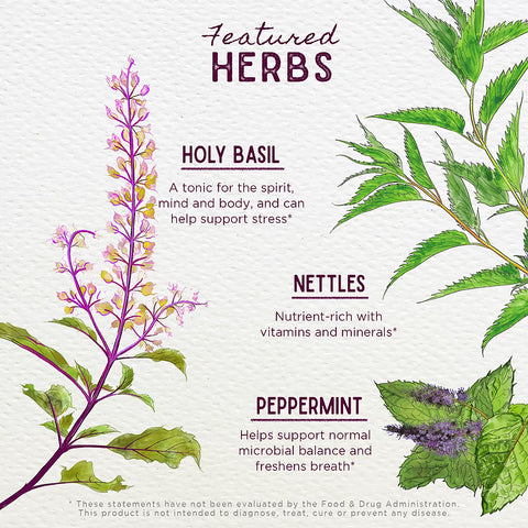 Wishgarden Herbs Chlorophyll & Friends (2 oz Dropper)