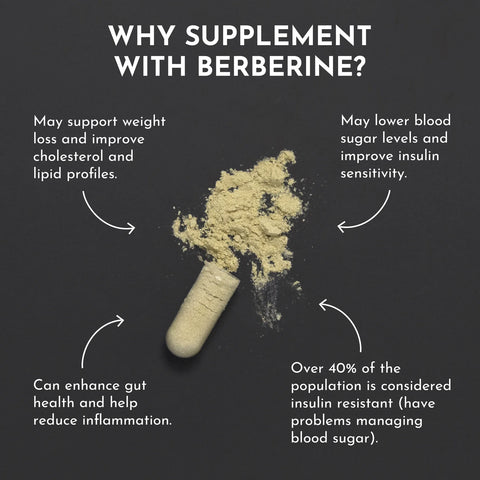 Just Ingredients Berberine Supplement