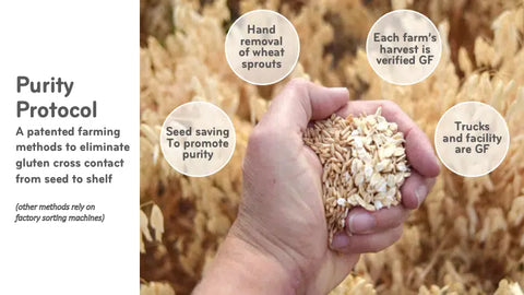 Zego Organic Gluten Free Oats (14oz bag)