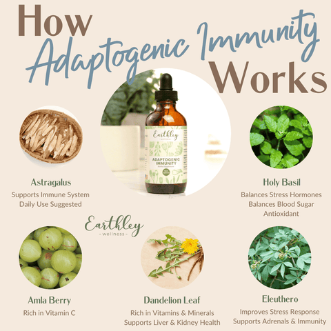 Earthley Adaptogenic Immunity (1 OZ)