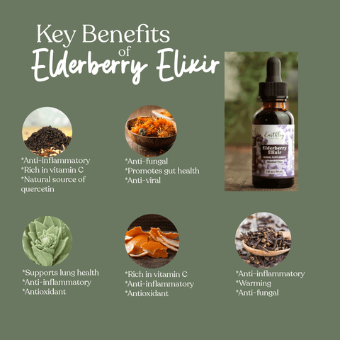 Earthley Elderberry Elixir (8 OZ) (ALCOHOL FREE)