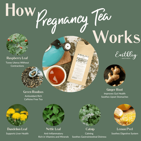 Earthley Pregnancy Tea (3 OZ) (LEMON GINGER)