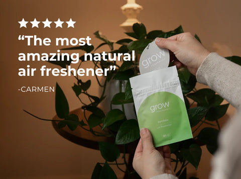 Grow Fragrance Bamboo Car Freshener