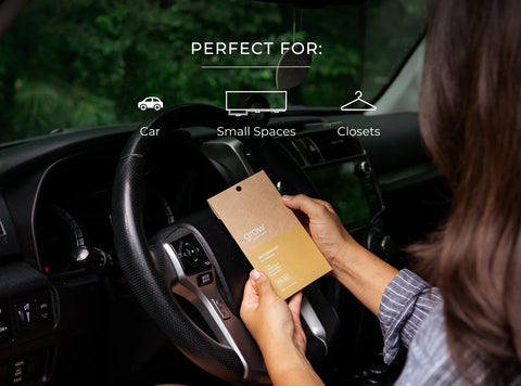 Grow Fragrance Blondewood Car Freshener