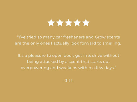 Grow Fragrance Blondewood Car Freshener
