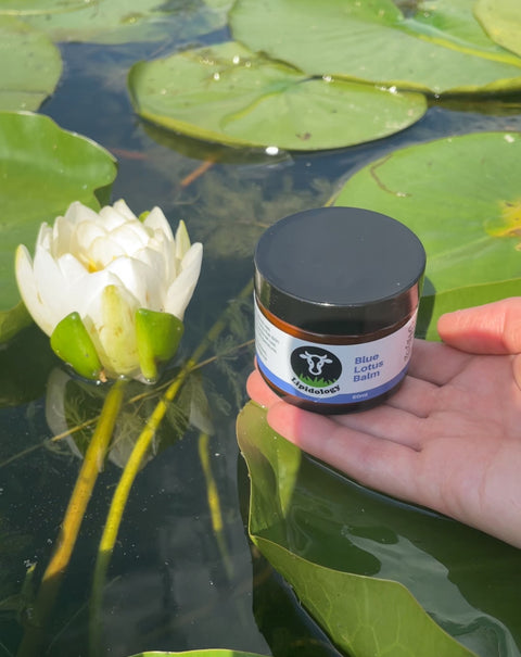 Organic Blue Lotus Tallow Balm
