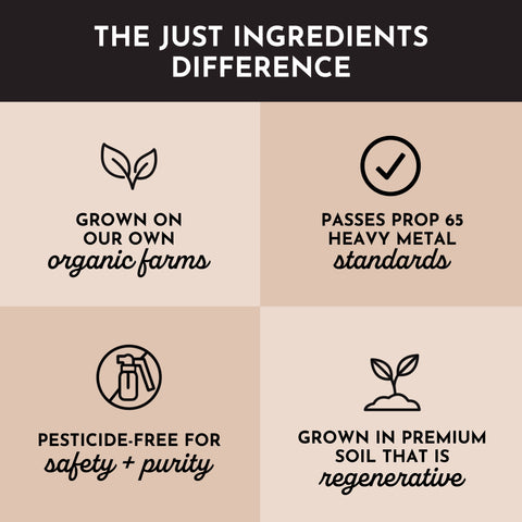 Just Ingredients Ashwagandha Capsule