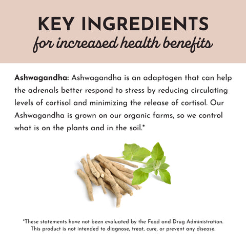 Just Ingredients Ashwagandha Capsule