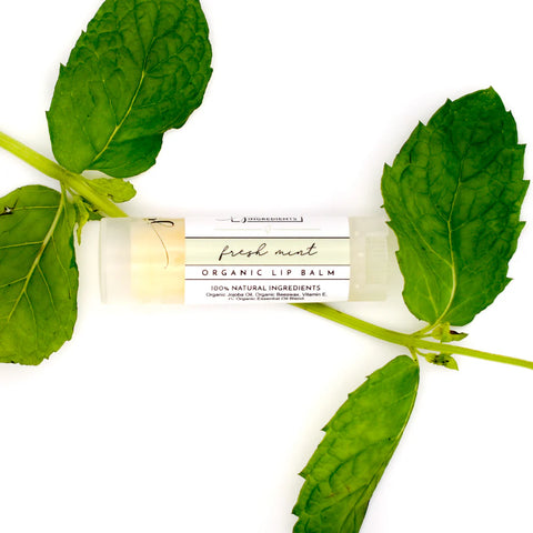 Just Ingredients Fresh Mint Organic Lip Balm