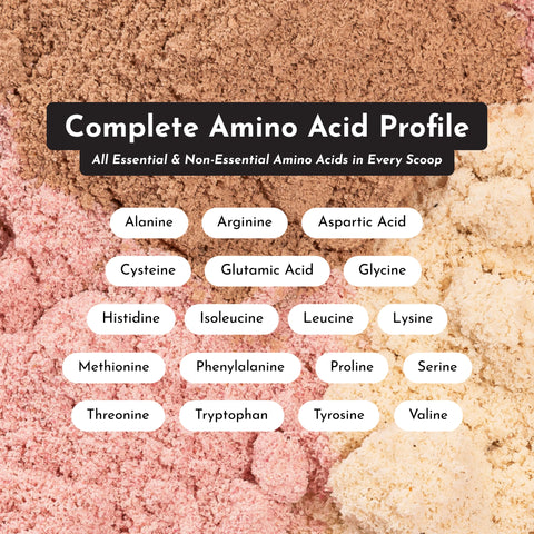 Just Ingredients Chai Protein Powder