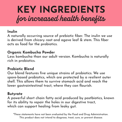 Just Ingredients Fruit Punch Probiotic (Kids)