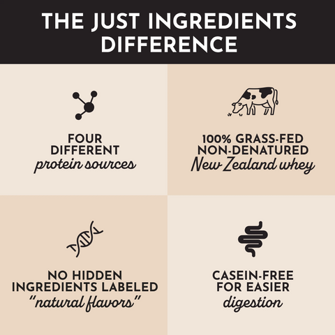 Just Ingredients Chai Protein Powder Stick