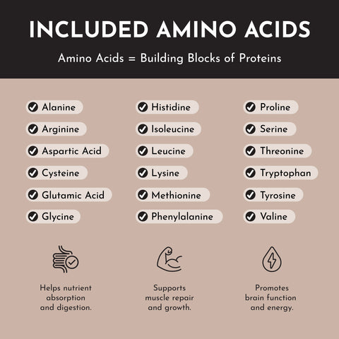 Just Ingredients Chocolate Protein Powder Stick