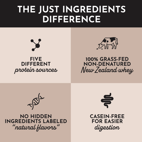 Just Ingredients Chocolate Protein Powder Stick