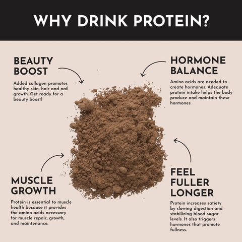Just Ingredients Chocolate Protein Powder Stick