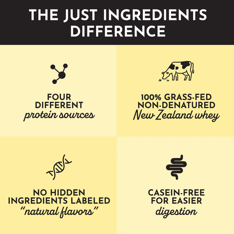 Just Ingredients Lemon Swish Protein Powder Stick