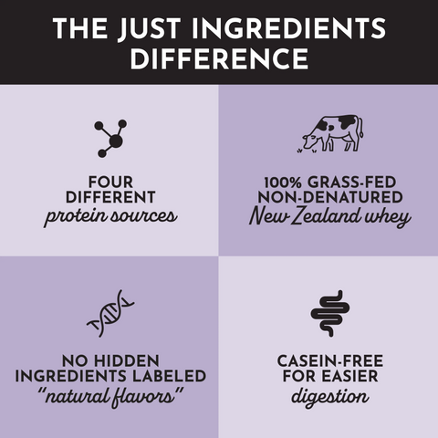 Just Ingredients Mountain Berry Protein Powder Stick