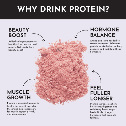 Just Ingredients Mountain Berry Protein Powder Stick