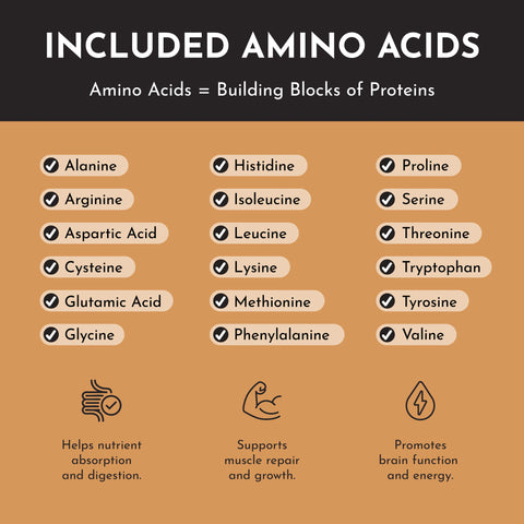 Just Ingredients Salted Caramel Protein Powder Stick