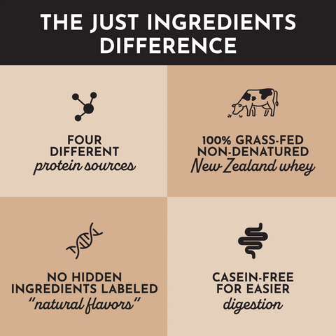 Just Ingredients Snickerdoodle Protein Powder Stick