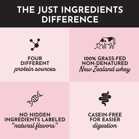 Just Ingredients Strawberries & Cream Protein Powder Stick
