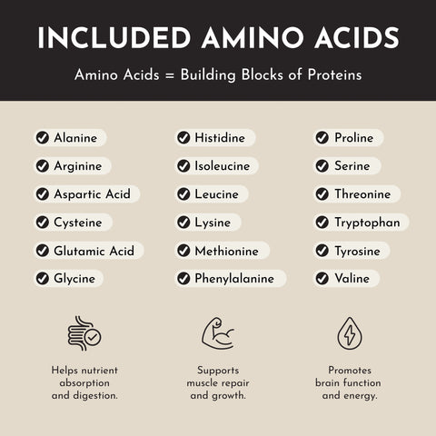 Just Ingredients Vanilla Bean Protein Powder Stick