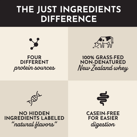 Just Ingredients Vanilla Bean Protein Powder Stick