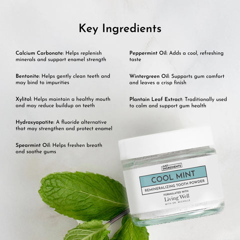 Just Ingredients Remineralizing Tooth Powder (Mint)