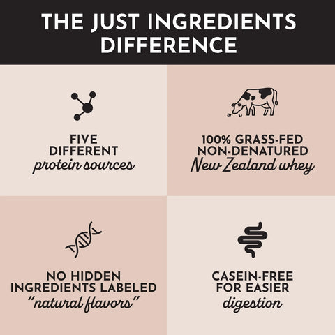 Just Ingredients Coconut Chocolate Powder