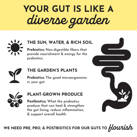 Just Ingredients Lemon Ginger Probiotic