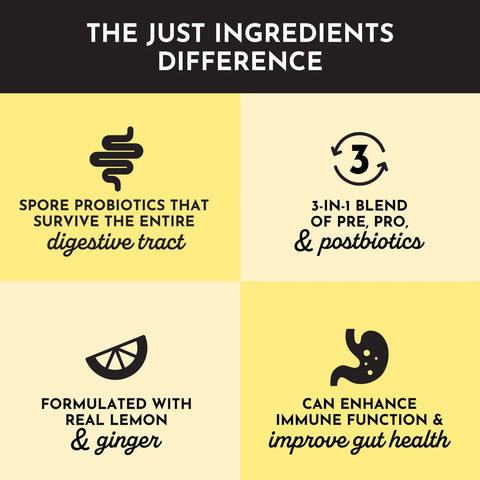 Just Ingredients Lemon Ginger Probiotic