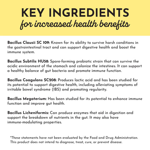 Just Ingredients Lemon Ginger Probiotic