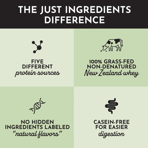 Just Ingredients Mint Chocolate