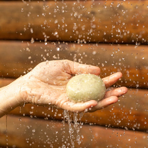Kossma Matcha Tallow Shampoo Bar