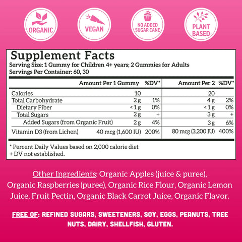 Llama Naturals Kids & Adult Vitamin D3 - Raspberry (60 CT)