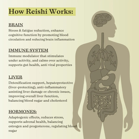 SubLuna Reishi Mushroom Triple Extract