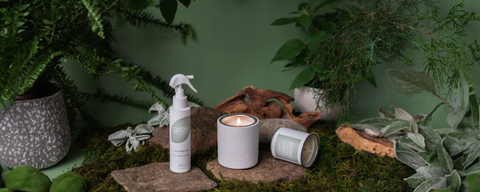 Grow Fragrance