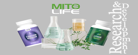 MitoLife