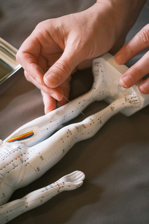 Bone & Joint Support