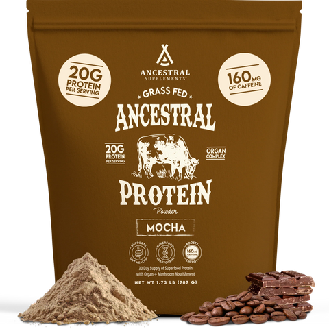 Ancestral Supplements Protein Powder Mocha Protein Powder Ancestral Supplements
