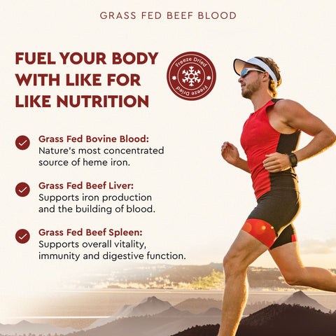 Ancestral Supplements Grass Fed Blood Vitamins & Supplements Ancestral Supplements