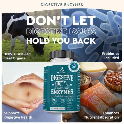 Ancestral Supplements Digestive Enzymes Digestive enzymes Ancestral Supplements