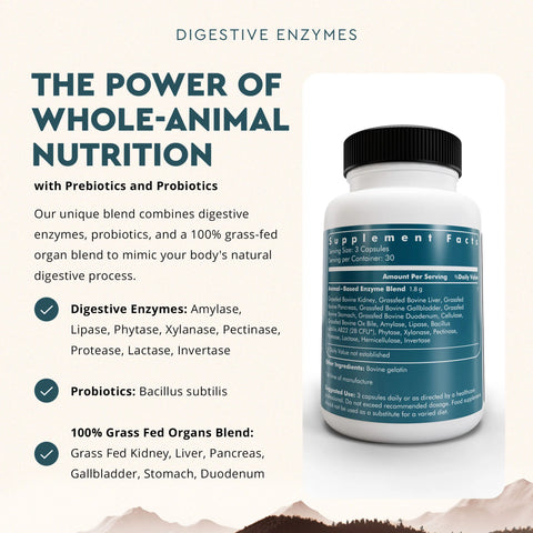 Ancestral Supplements Digestive Enzymes Digestive enzymes Ancestral Supplements