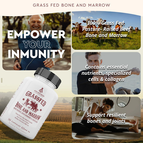 Ancestral Supplements Grass Fed Beef Bone and Marrow Vitamins & Supplements Ancestral Supplements