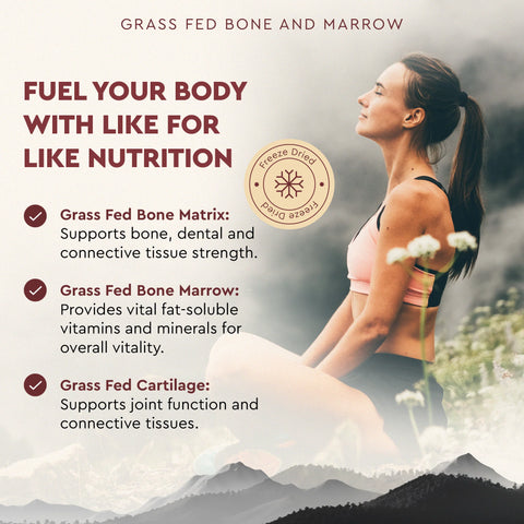 Ancestral Supplements Grass Fed Beef Bone and Marrow Vitamins & Supplements Ancestral Supplements