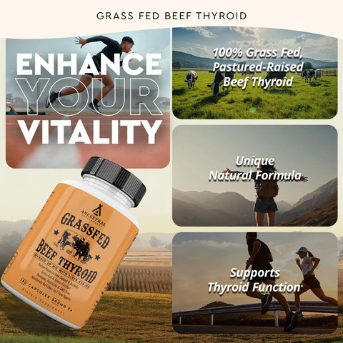 Ancestral Supplements Grass Fed Beef Thyroid Vitamins & Supplements Ancestral Supplements