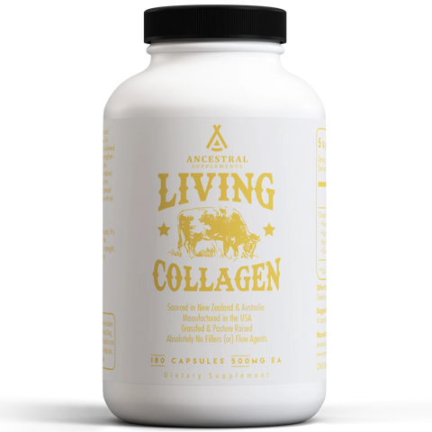 Ancestral Supplements Living Collagen Vitamins & Supplements Ancestral Supplements